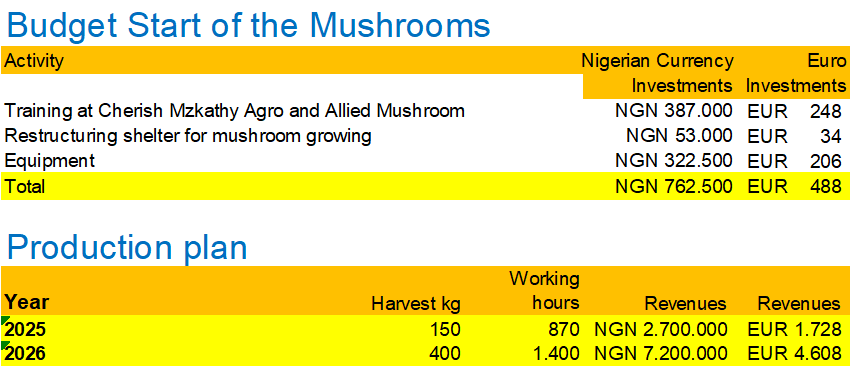 2. INVESTMENTS & PRODUCTION (JAN 2025)